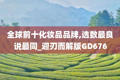 全球前十化妆品品牌,选数最良说最同_迎刃而解版GD676