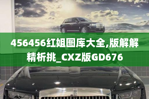 456456红姐图库大全,版解解精析挑_CXZ版GD676