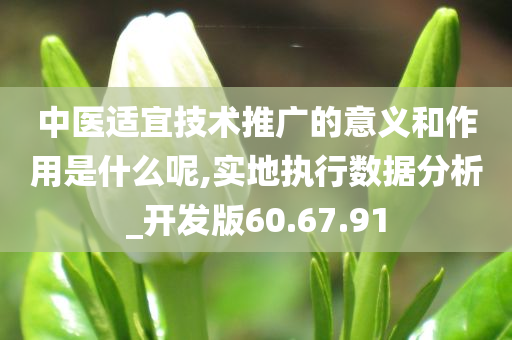 中医适宜技术推广的意义和作用是什么呢,实地执行数据分析_开发版60.67.91