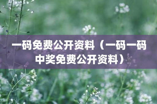 一码免费公开资料（一码一码中奖免费公开资料）