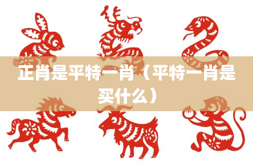 正肖是平特一肖（平特一肖是买什么）