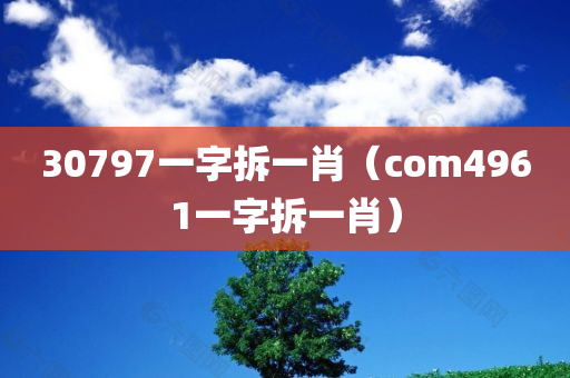 30797一字拆一肖（com4961一字拆一肖）