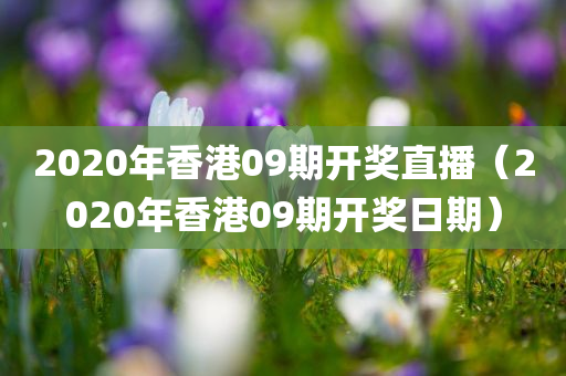 2020年香港09期开奖直播（2020年香港09期开奖日期）