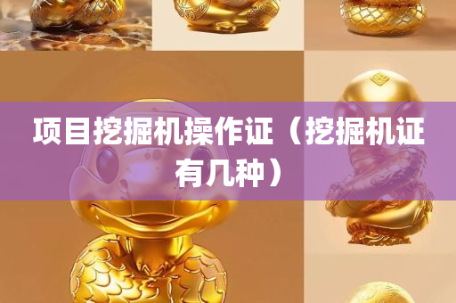 项目挖掘机操作证（挖掘机证有几种）