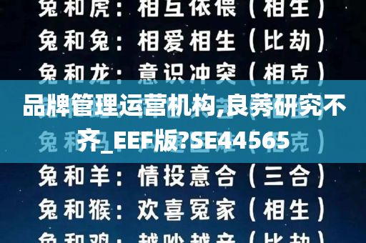 品牌管理运营机构,良莠研究不齐_EEF版?SE44565