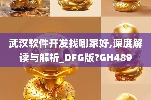 武汉软件开发找哪家好,深度解读与解析_DFG版?GH489