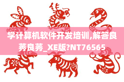 学计算机软件开发培训,解答良莠良莠_XE版?NT76565