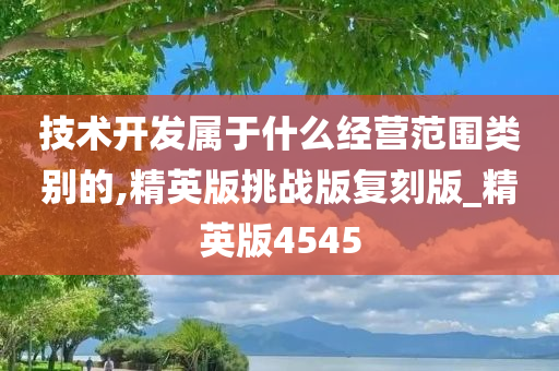 技术开发属于什么经营范围类别的,精英版挑战版复刻版_精英版4545