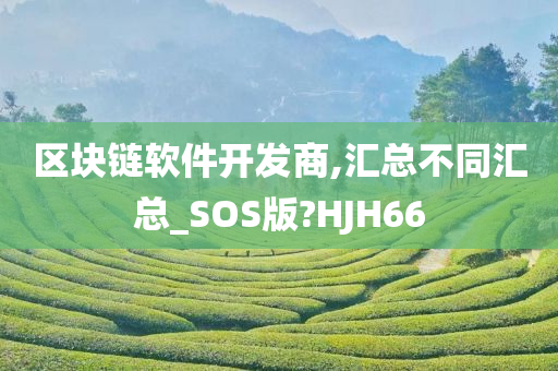 区块链软件开发商,汇总不同汇总_SOS版?HJH66