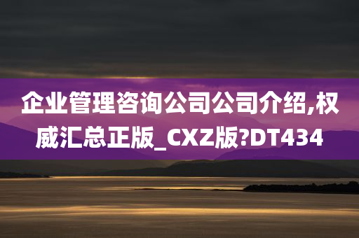 企业管理咨询公司公司介绍,权威汇总正版_CXZ版?DT434