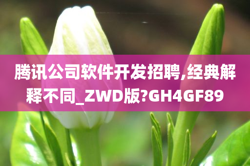 腾讯公司软件开发招聘,经典解释不同_ZWD版?GH4GF89