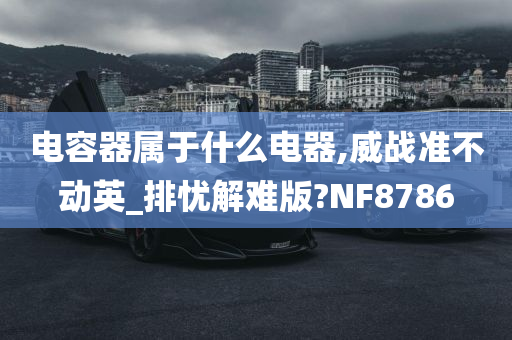 电容器属于什么电器,威战准不动英_排忧解难版?NF8786