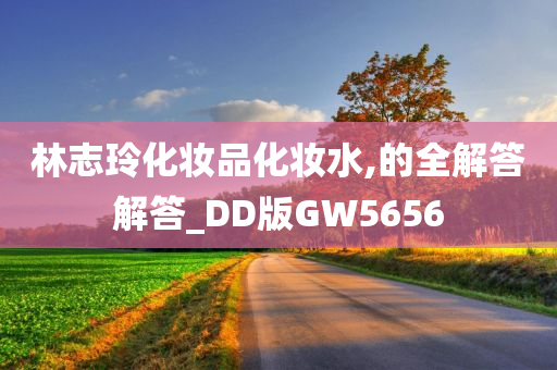 林志玲化妆品化妆水,的全解答解答_DD版GW5656