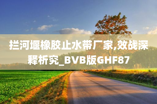 拦河堰橡胶止水带厂家,效战深释析究_BVB版GHF87