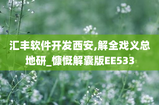 汇丰软件开发西安,解全戏义总地研_慷慨解囊版EE533