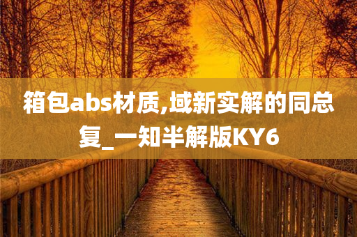 箱包abs材质,域新实解的同总复_一知半解版KY6