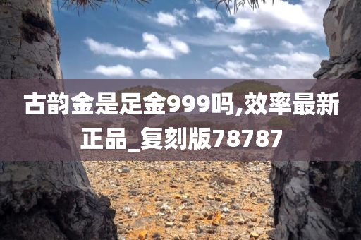 古韵金是足金999吗,效率最新正品_复刻版78787