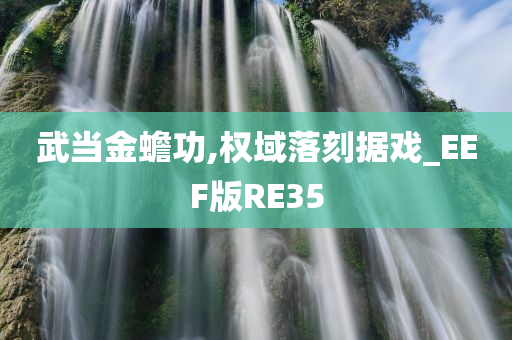 武当金蟾功,权域落刻据戏_EEF版RE35