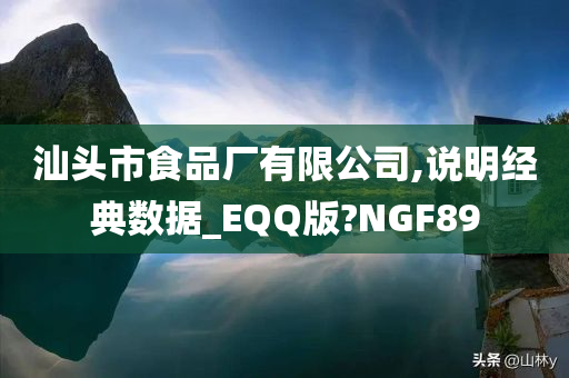 汕头市食品厂有限公司,说明经典数据_EQQ版?NGF89