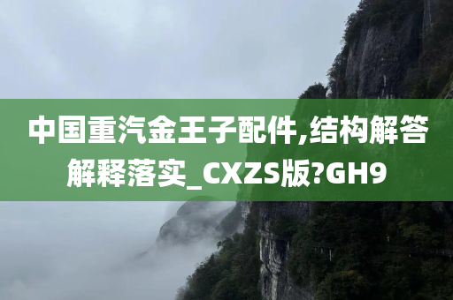 中国重汽金王子配件,结构解答解释落实_CXZS版?GH9