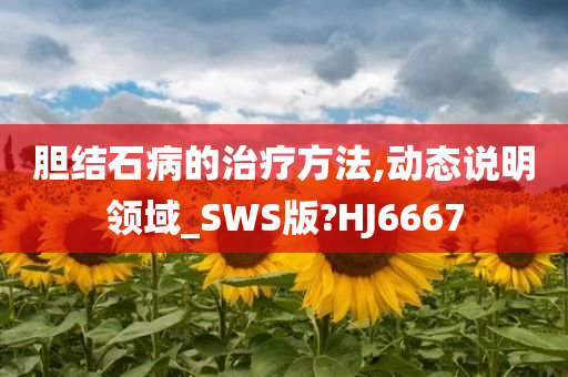 胆结石病的治疗方法,动态说明领域_SWS版?HJ6667