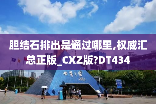 胆结石排出是通过哪里,权威汇总正版_CXZ版?DT434