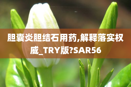 胆囊炎胆结石用药,解释落实权威_TRY版?SAR56