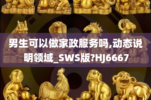 男生可以做家政服务吗,动态说明领域_SWS版?HJ6667