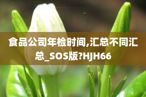 食品公司年检时间,汇总不同汇总_SOS版?HJH66