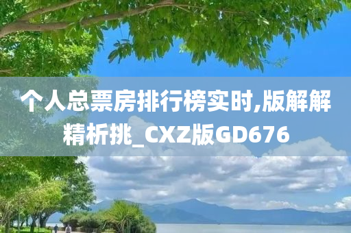 个人总票房排行榜实时,版解解精析挑_CXZ版GD676