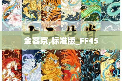 金容京,标准版_FF45