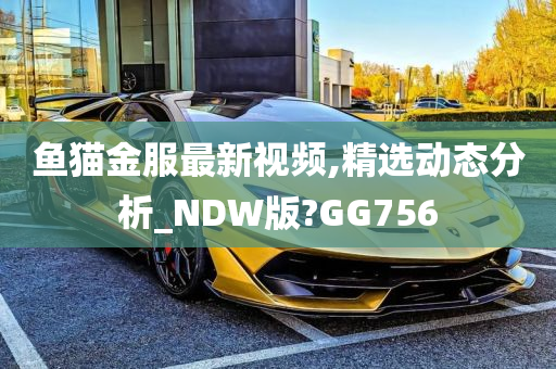 鱼猫金服最新视频,精选动态分析_NDW版?GG756