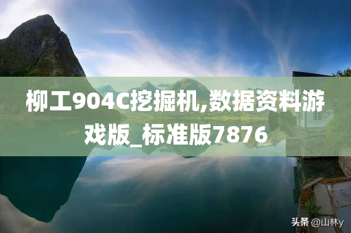 柳工904C挖掘机,数据资料游戏版_标准版7876