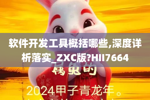 软件开发工具概括哪些,深度详析落实_ZXC版?HII7664