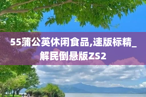 55蒲公英休闲食品,速版标精_解民倒悬版ZS2