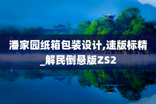 潘家园纸箱包装设计,速版标精_解民倒悬版ZS2