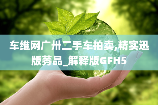 车维网广卅二手车拍卖,精实迅版莠品_解释版GFH5