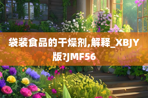 袋装食品的干燥剂,解释_XBJY版?JMF56