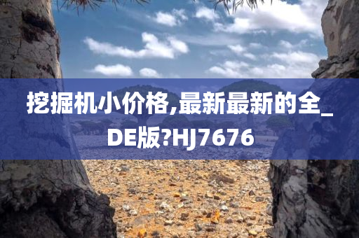 挖掘机小价格,最新最新的全_DE版?HJ7676