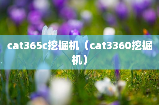 cat365c挖掘机（cat3360挖掘机）