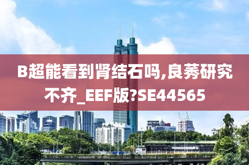 B超能看到肾结石吗,良莠研究不齐_EEF版?SE44565