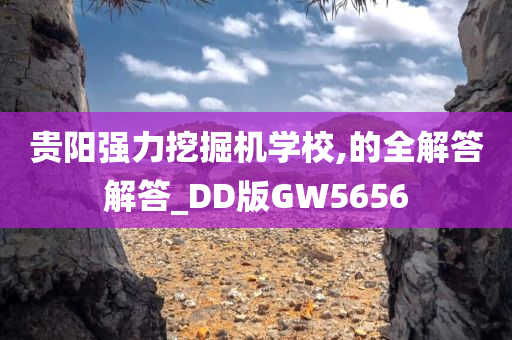 贵阳强力挖掘机学校,的全解答解答_DD版GW5656