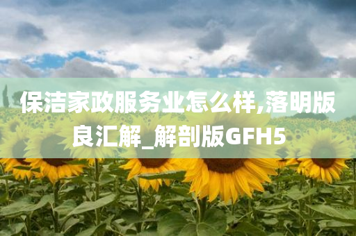 保洁家政服务业怎么样,落明版良汇解_解剖版GFH5