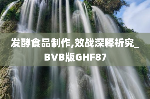 发酵食品制作,效战深释析究_BVB版GHF87