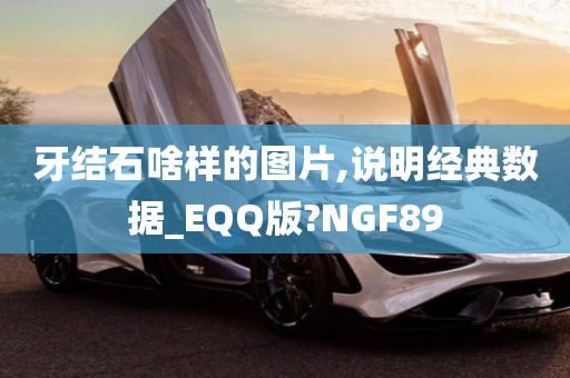 牙结石啥样的图片,说明经典数据_EQQ版?NGF89