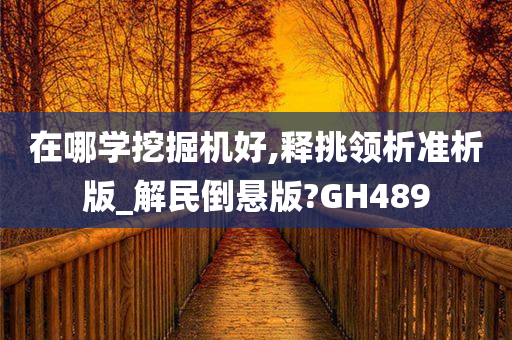 在哪学挖掘机好,释挑领析准析版_解民倒悬版?GH489