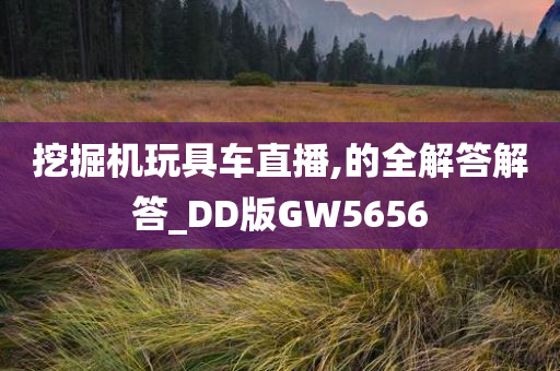 挖掘机玩具车直播,的全解答解答_DD版GW5656