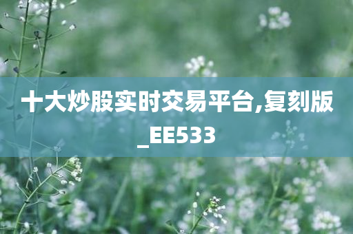 十大炒股实时交易平台,复刻版_EE533