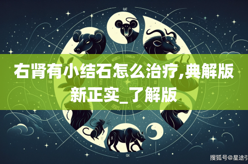 右肾有小结石怎么治疗,典解版新正实_了解版