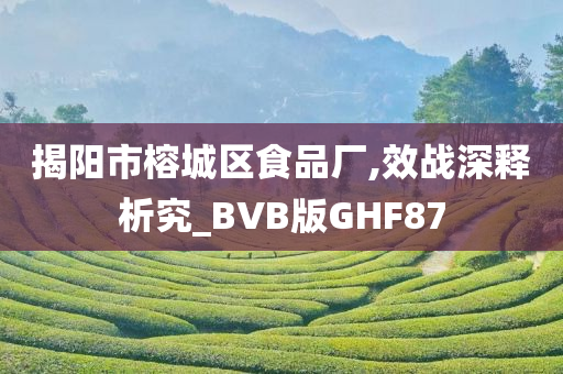 揭阳市榕城区食品厂,效战深释析究_BVB版GHF87